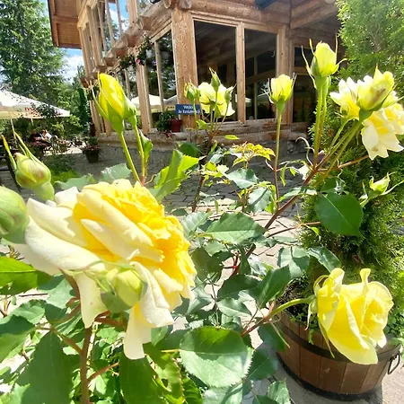 Bialczanski Restauracja I Klub Bilardowy Parco vacanze Białka