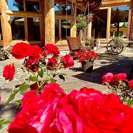 Πάρκο διακοπών Zajazd Bialczanski Dom Wypoczynkowy Restauracja I Klub Bilardowy 3*