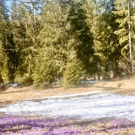 Parco vacanze Bialczanski Restauracja I Klub Bilardowy Białka